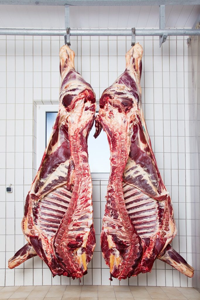 19929569 peeled bodies of pork hanging showing the rib cage on the